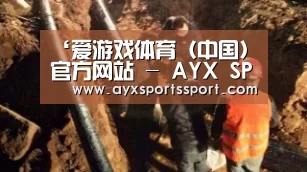 爱游戏体育（中国）官方网站 - AYX SPORTS下载