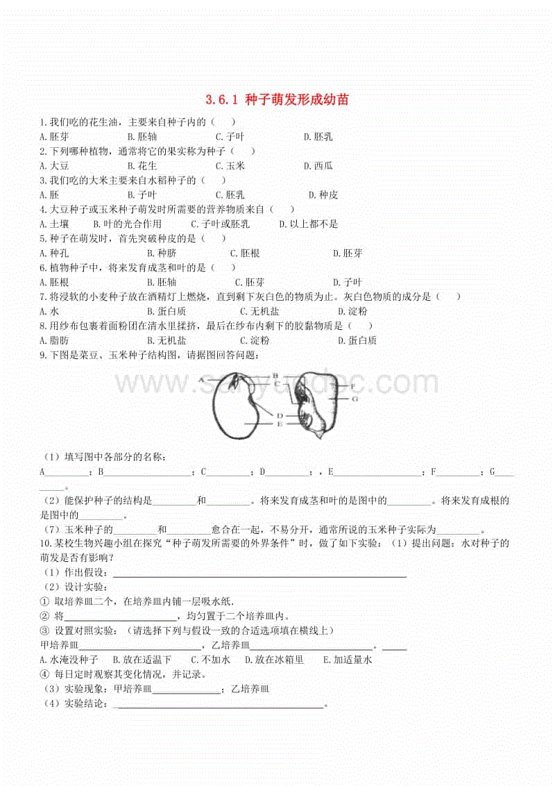爱游戏体育（中国）官方网站 - AYX SPORTS