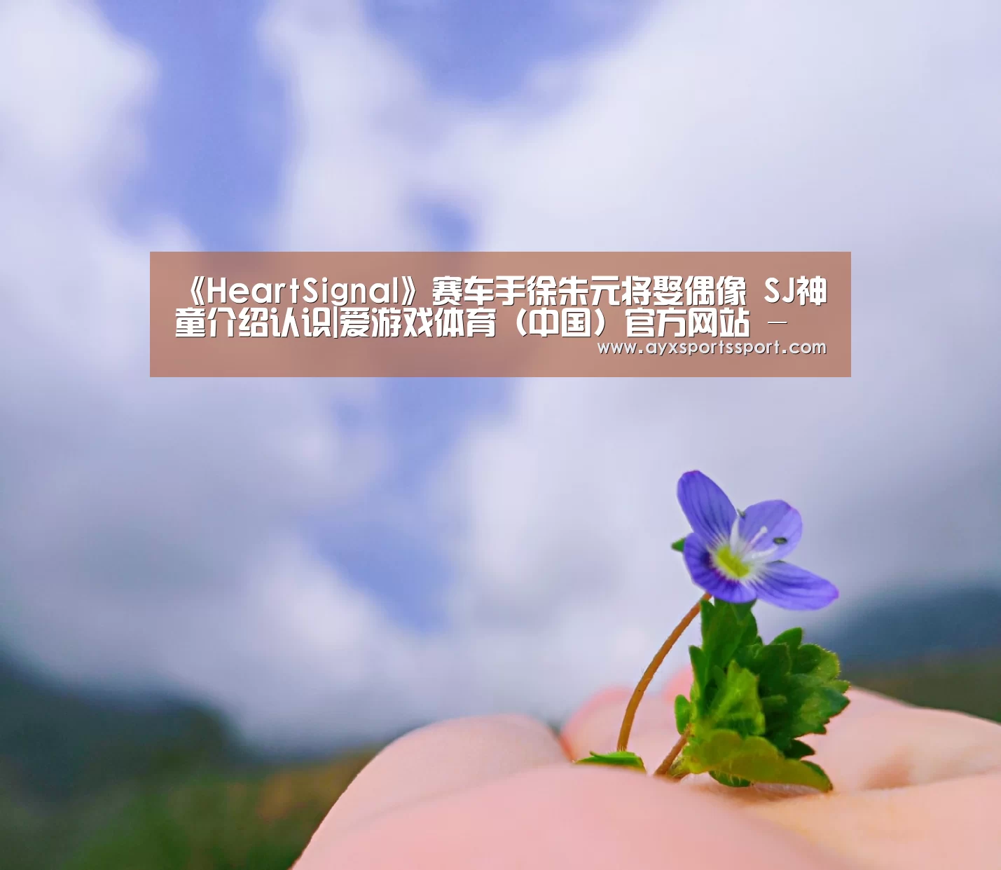 爱游戏体育（中国）官方网站 - AYX SPORTS直播