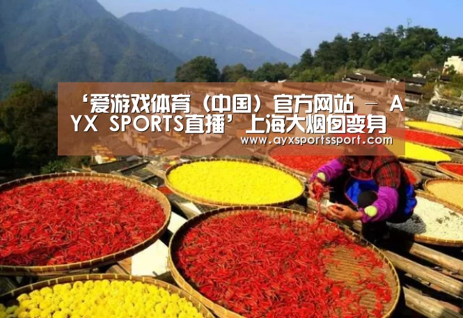 爱游戏体育（中国）官方网站 - AYX SPORTS直播