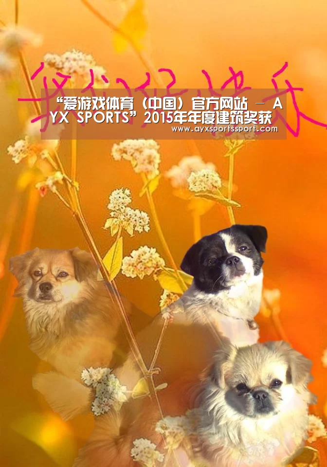 爱游戏体育（中国）官方网站 - AYX SPORTS直播