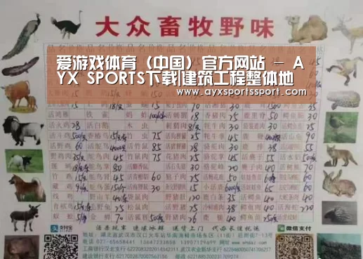 爱游戏体育（中国）官方网站 - AYX SPORTS
