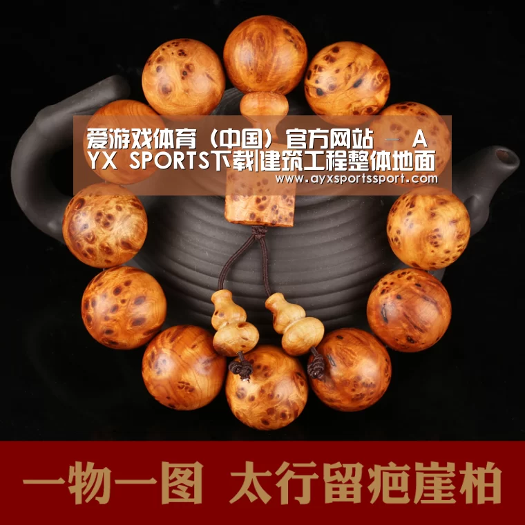 爱游戏体育（中国）官方网站 - AYX SPORTS直播
