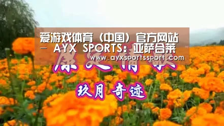 爱游戏体育（中国）官方网站 - AYX SPORTS直播