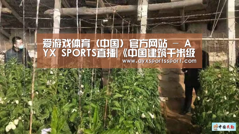爱游戏体育（中国）官方网站 - AYX SPORTS下载