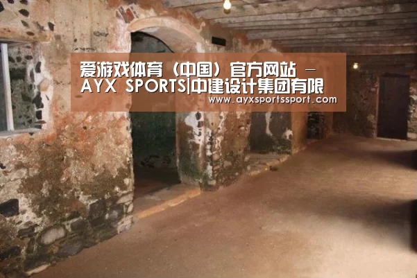 爱游戏体育（中国）官方网站 - AYX SPORTS下载